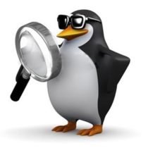 Lancement de Google Penguin 4