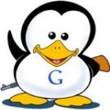 Google Penguin 2.1 est lancé – Mise à jour de l’algorithme