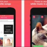 Mindie, l’application de clips musicaux française qui électrise les Américains