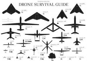 Drone-Survival-Guide1