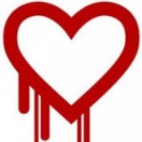 Heartbleed : une faille de sécurité critique affecte de nombreux sites web