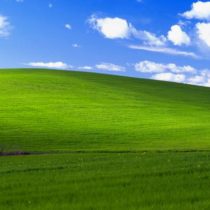 L’histoire de la colline verdoyante, le célèbre fond d’écran de Microsoft Windows XP