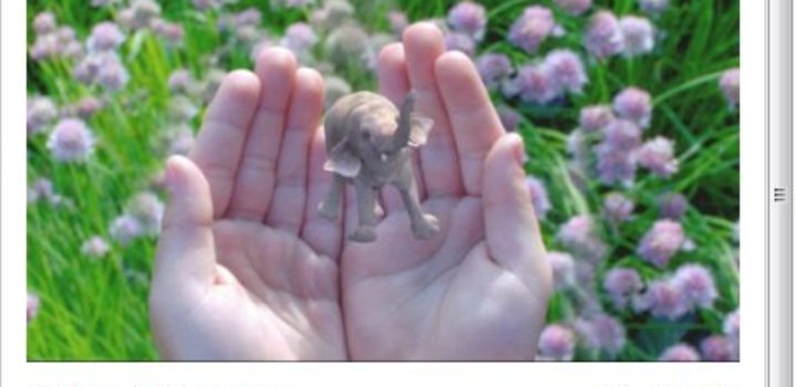 La mystérieuse «réalité cinématique» de Magic Leap affole la Silicon Valley