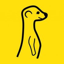 Meerkat : démarrage fulgurant pour l’application de streaming vidéo en direct