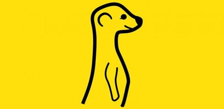 Meerkat : démarrage fulgurant pour l’application de streaming vidéo en direct